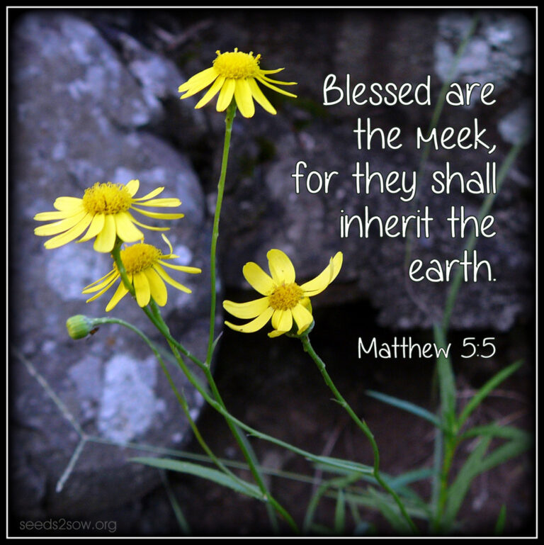 Blessed are the Meek